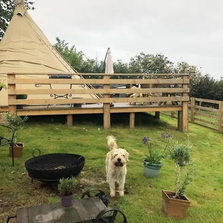 Burtree Country House, Tipi'S, Treehouse & Lodge & House Rooms With Hot Tubs In A Private Garden Thirsk Exterior photo