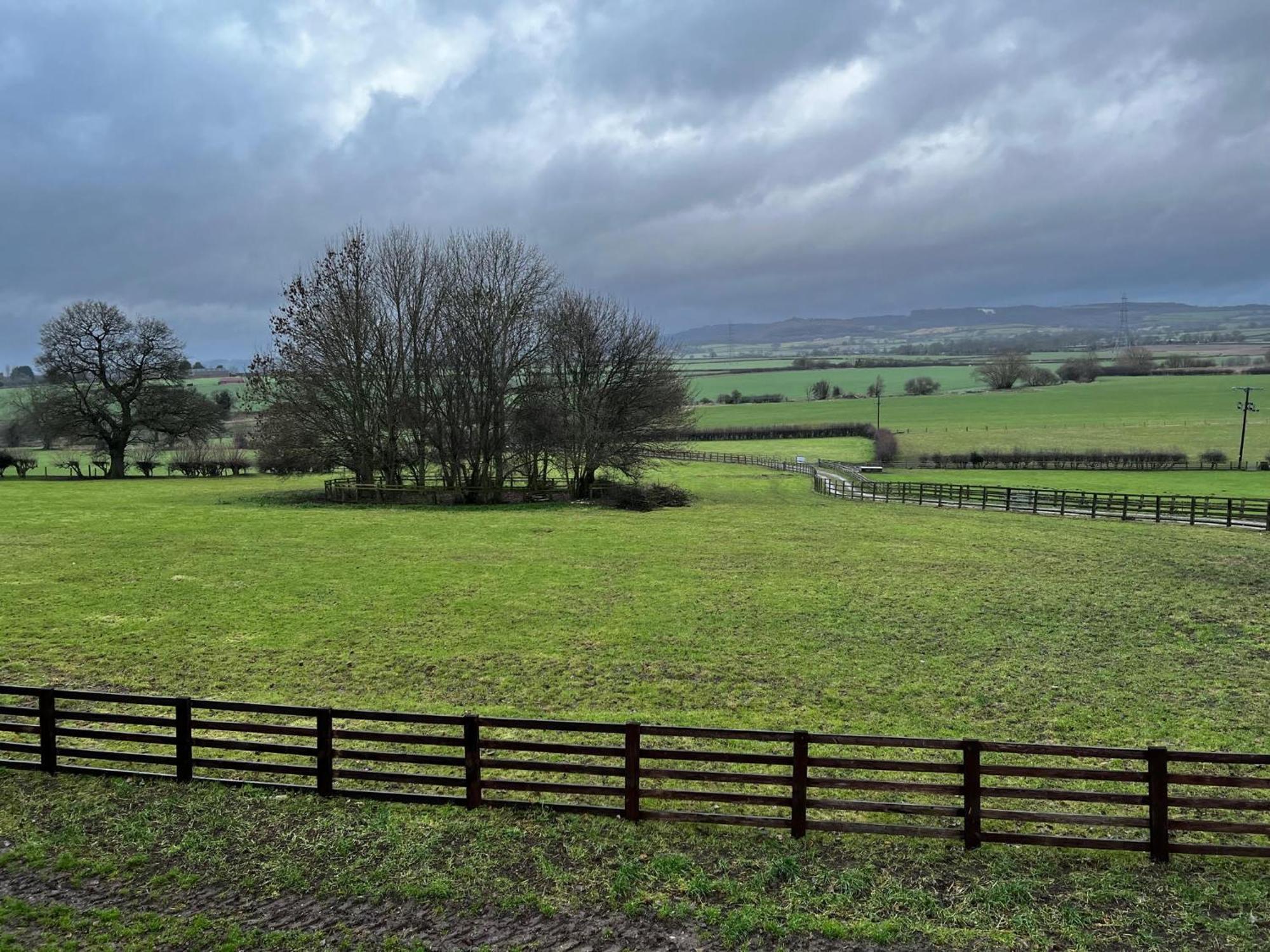 Burtree Country House, Tipi's, Treehouse & & House With Hot Tubs In A Private Garden * Thirsk