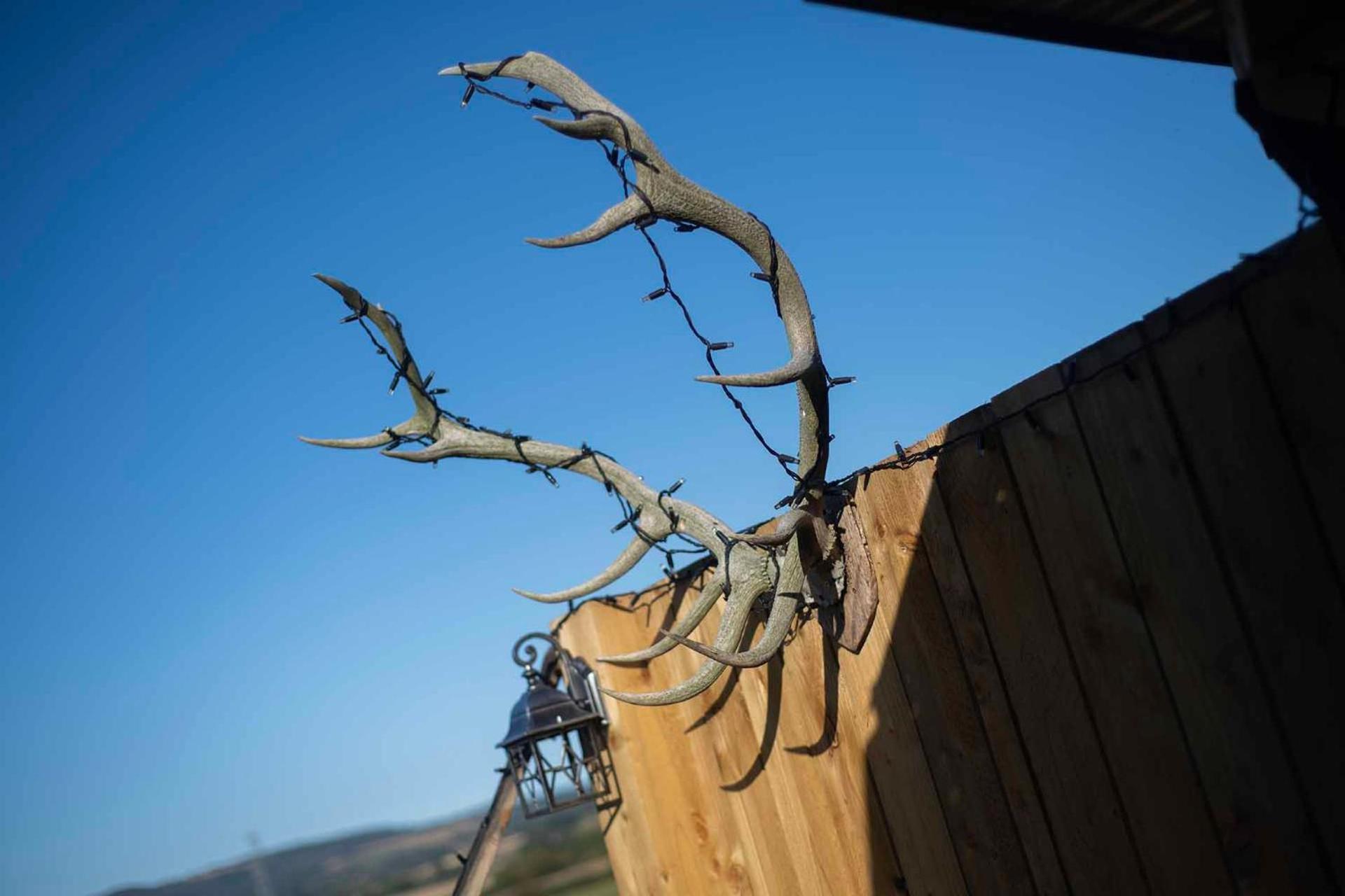 Lodge Burtree Country House, Tipi's, Treehouse & & House With Hot Tubs In A Private Garden